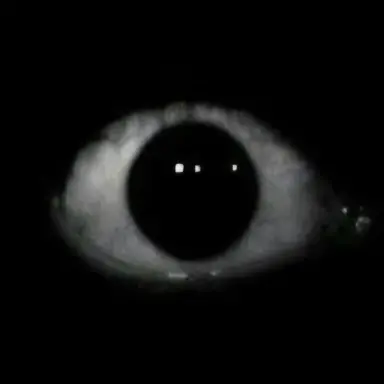 Profile image of 프로토타임