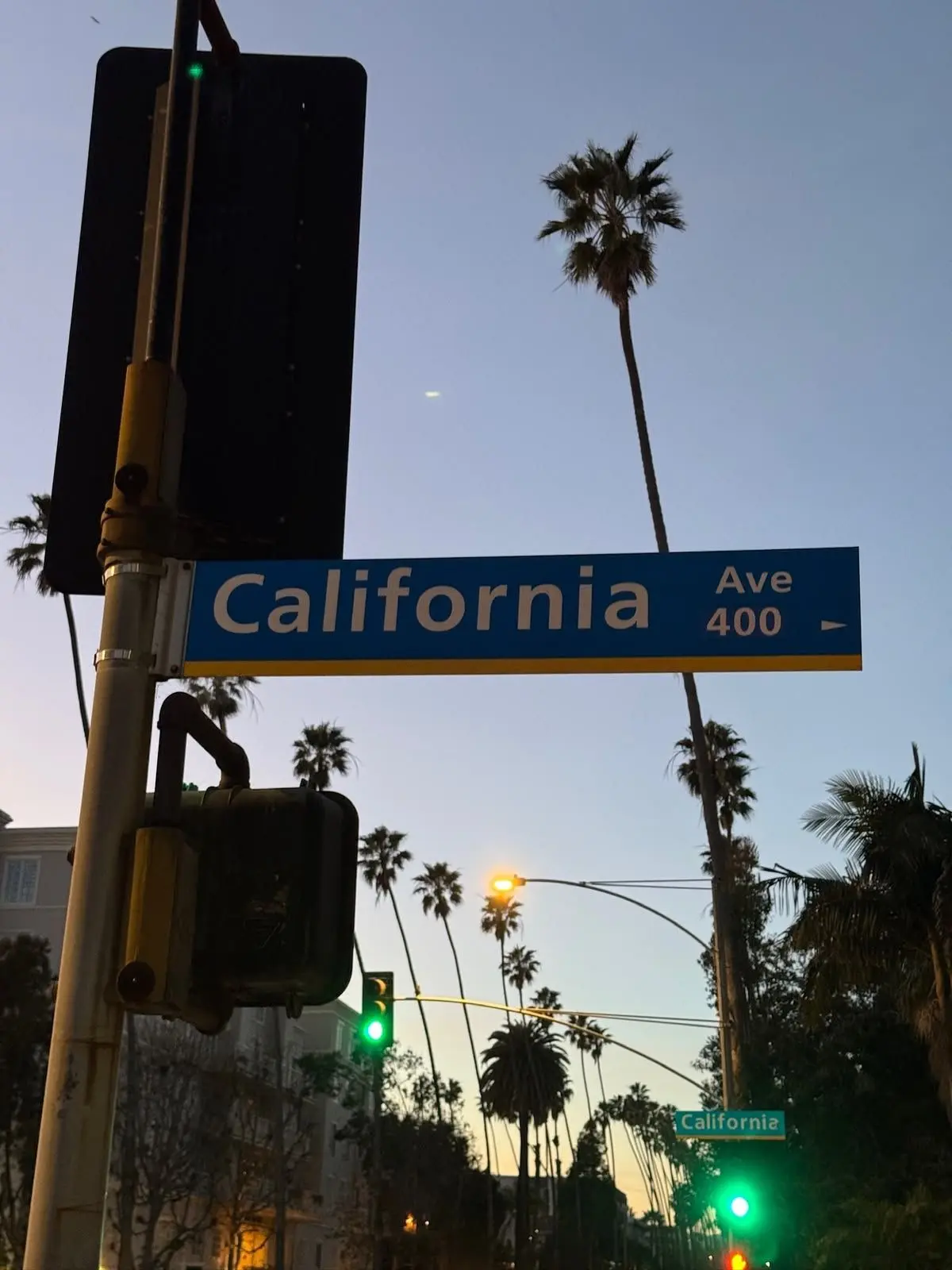 uvuilil의 Cali Boy