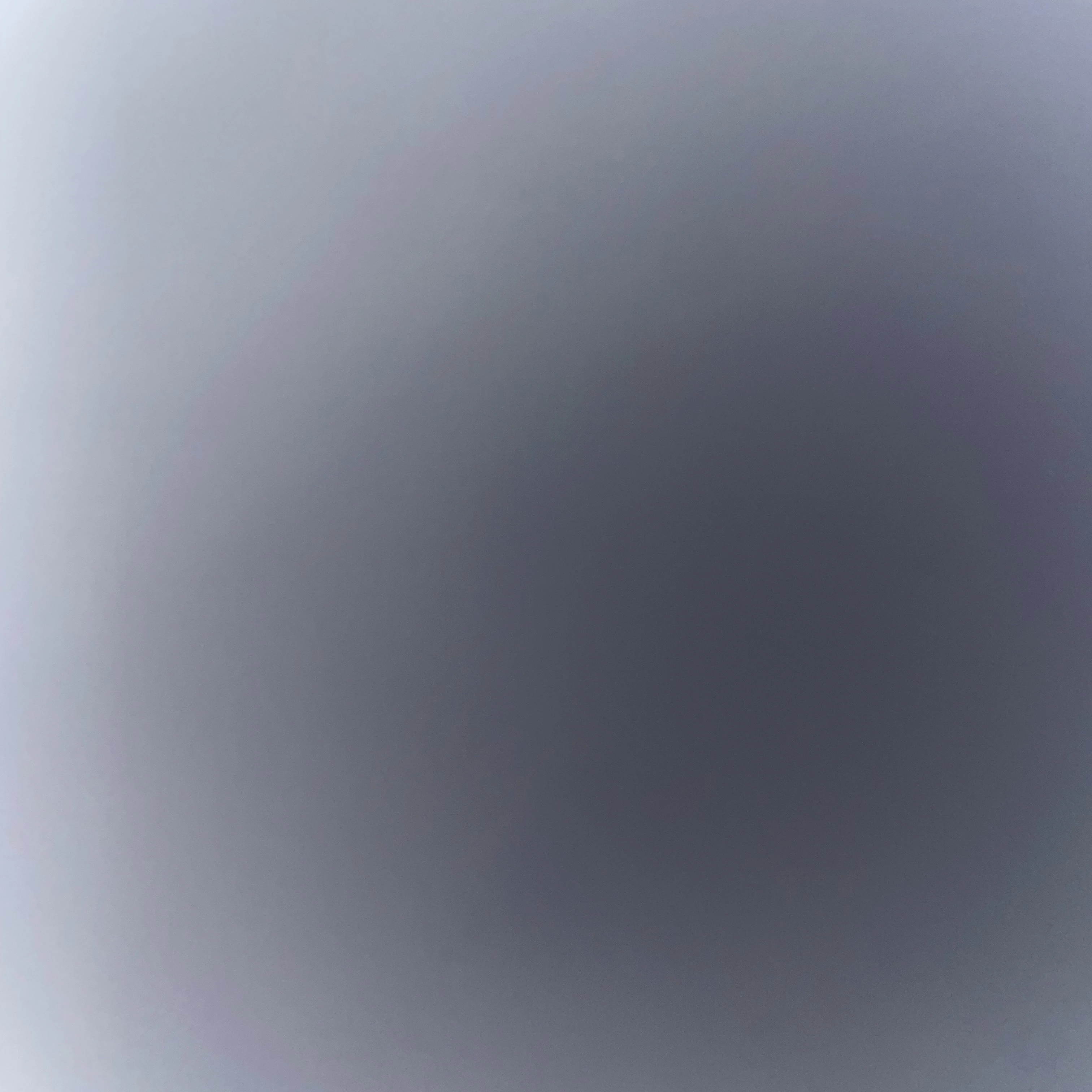 정재하