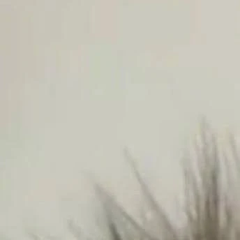권수녕
