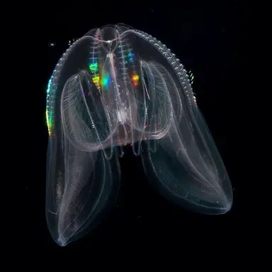 Profile image of 빈