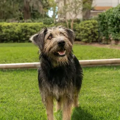 Profile image of 트램프