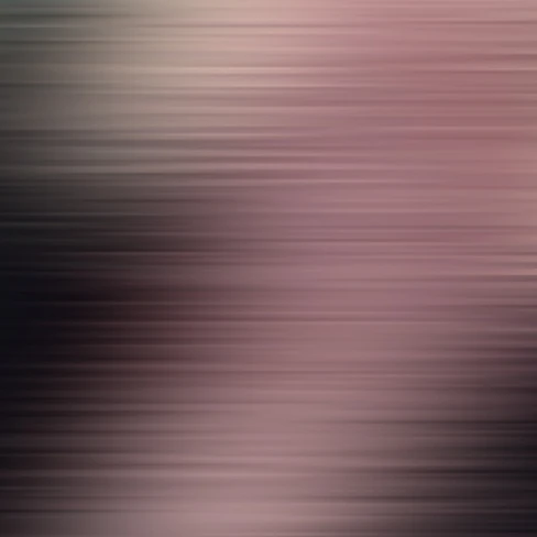 김애리