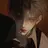김도훈