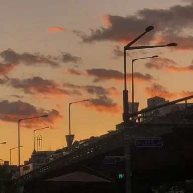 Profile image of 서라더