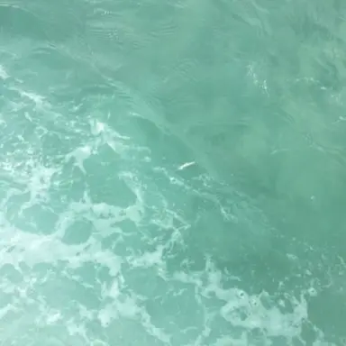 Profile image of 티푸