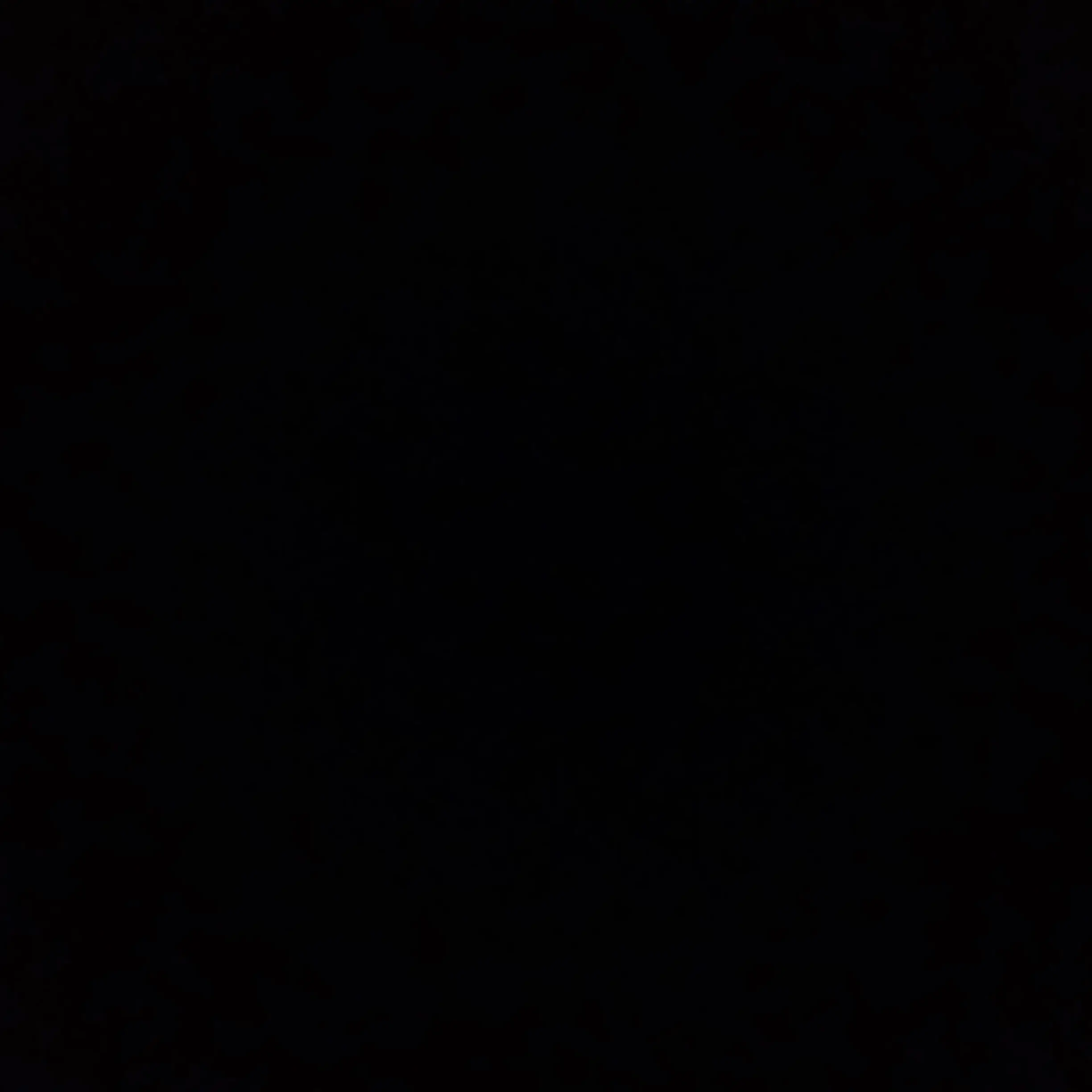 SNOW_FLAKE.의 정공룡