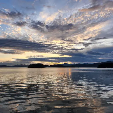 Profile image of user