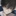りく