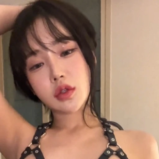 도현