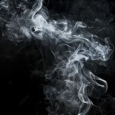 Profile image of うり