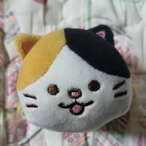 FleshyWheel4114의 꼬미