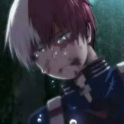 Profile image of Shoto Todoroki