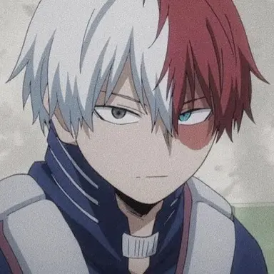 Profile image of Todoroki