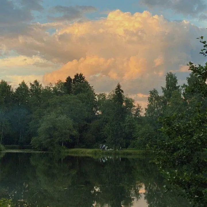 fiRyu의 아름다운 새들의 학살자