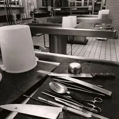 Profile image of Autopsy RP