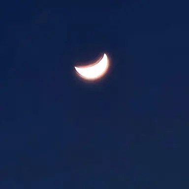 Profile image of 여우