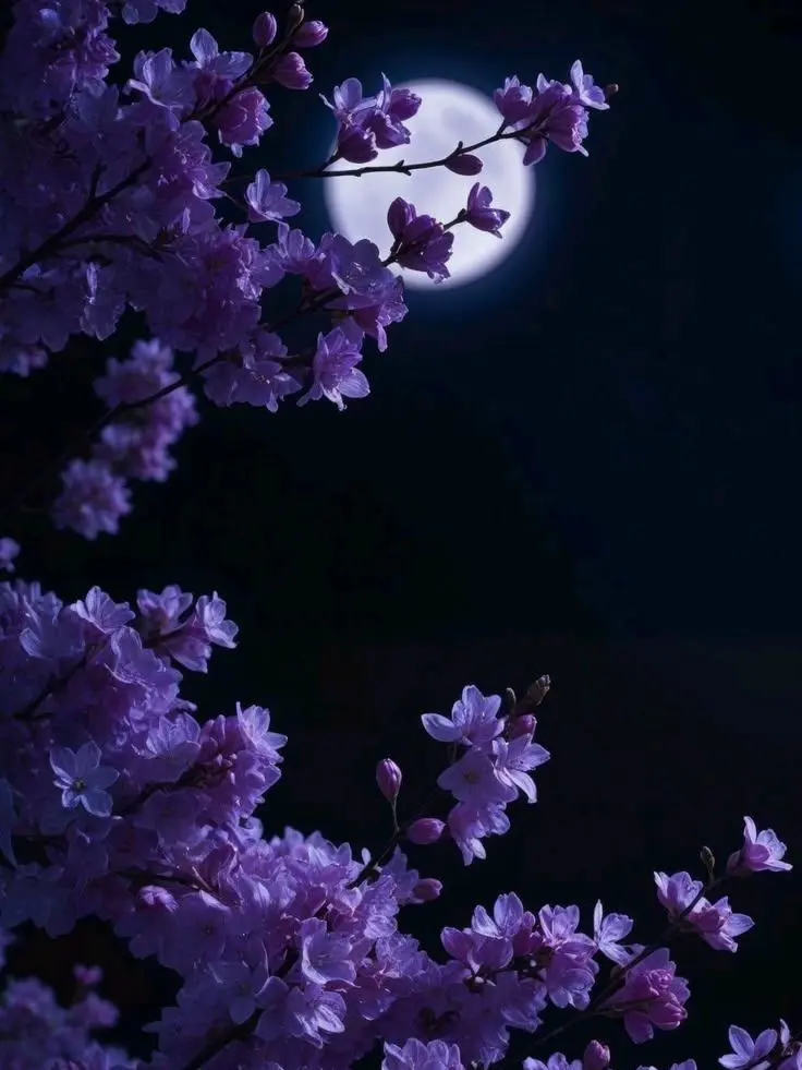 Karian의 담장 너머, 야화