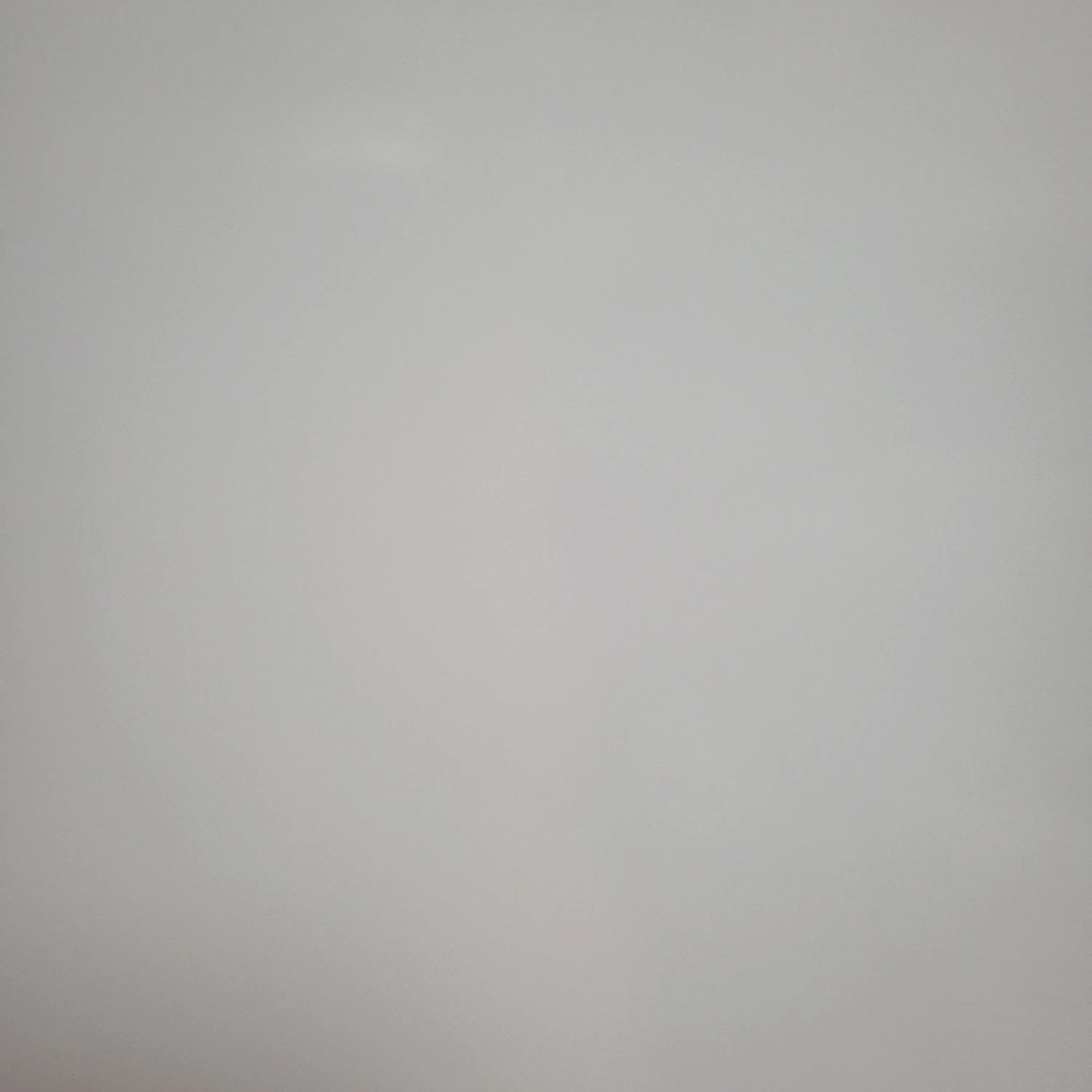 BouncyTable의 제베원