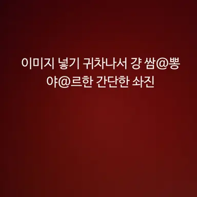 Profile image of 유기사