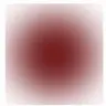 Profile image of 宮舘 涼太