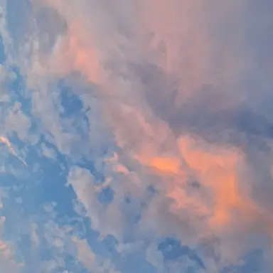 Profile image of 마에다 리쿠