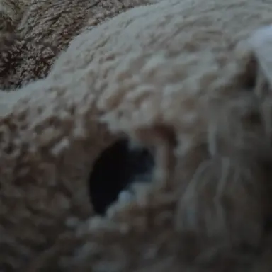 Profile image of 팀샐학교 오해