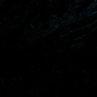 Profile image of 김늑대