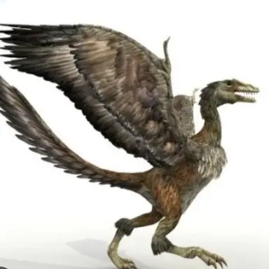 Profile image of 론 피인 산의 악마