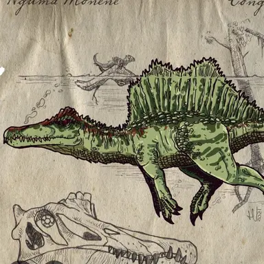 Profile image of 응구마 모네네