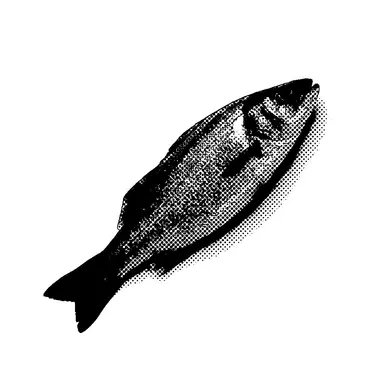 Profile image of コーナー別商品案内書