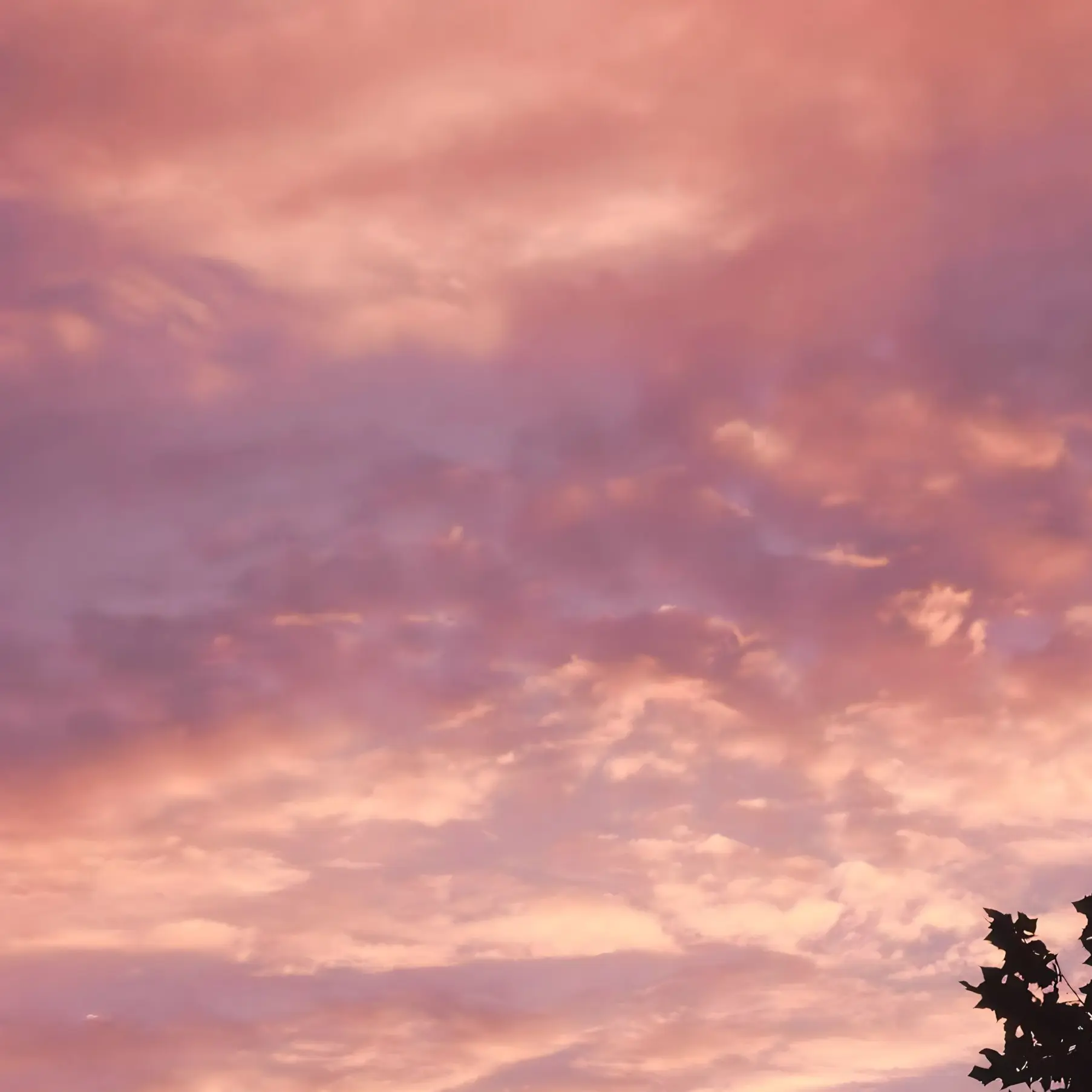 LongOx5493의 ジョイはあなたを弟扱いしてくる