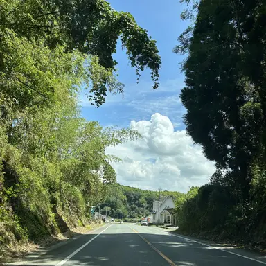 Profile image of ゆうと