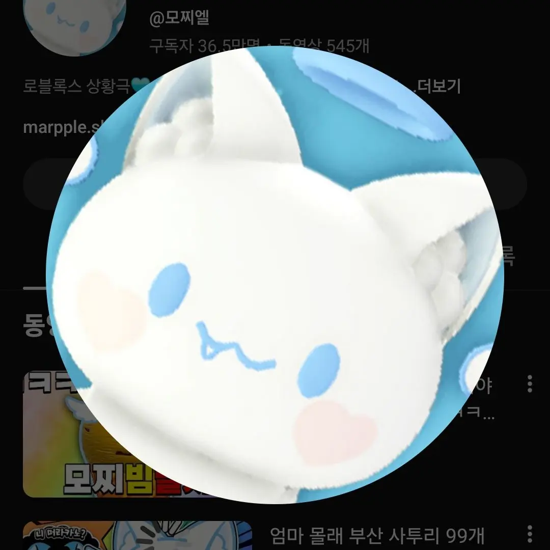 Ehhdvgwnnsn의 여자 유트버들(사진별로없어서많이없음)