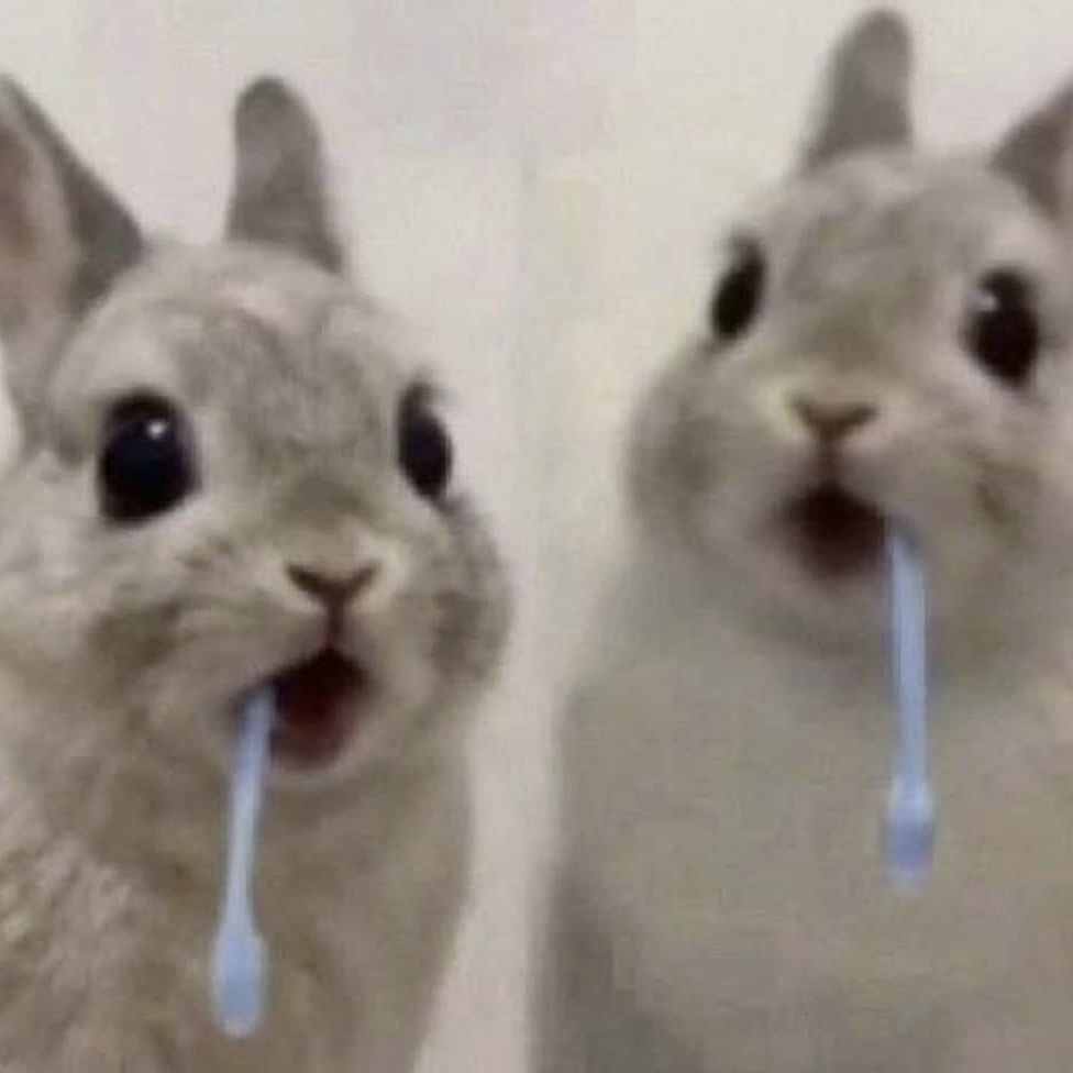 🏥 대표 이미지