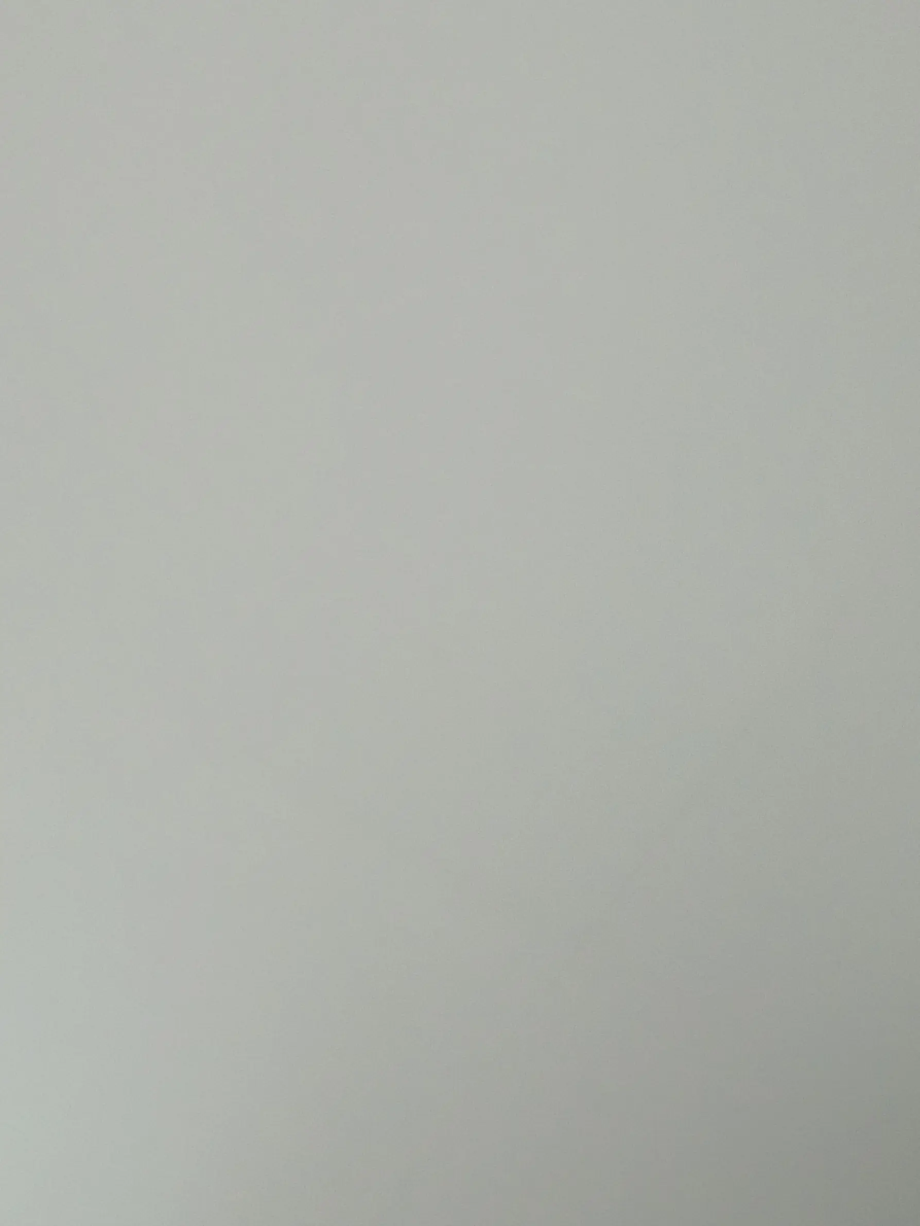 PastMoth5886의 콜라보무대.