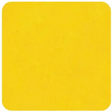Profile image of 박피티