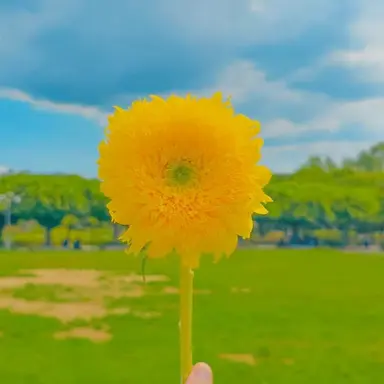 Profile image of 나른한 패밀리