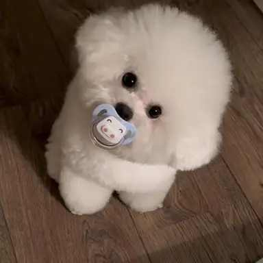 Profile image of 우유