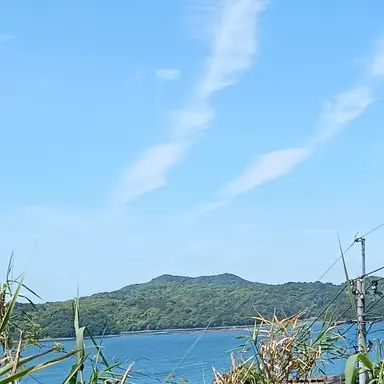Profile image of 被検体M