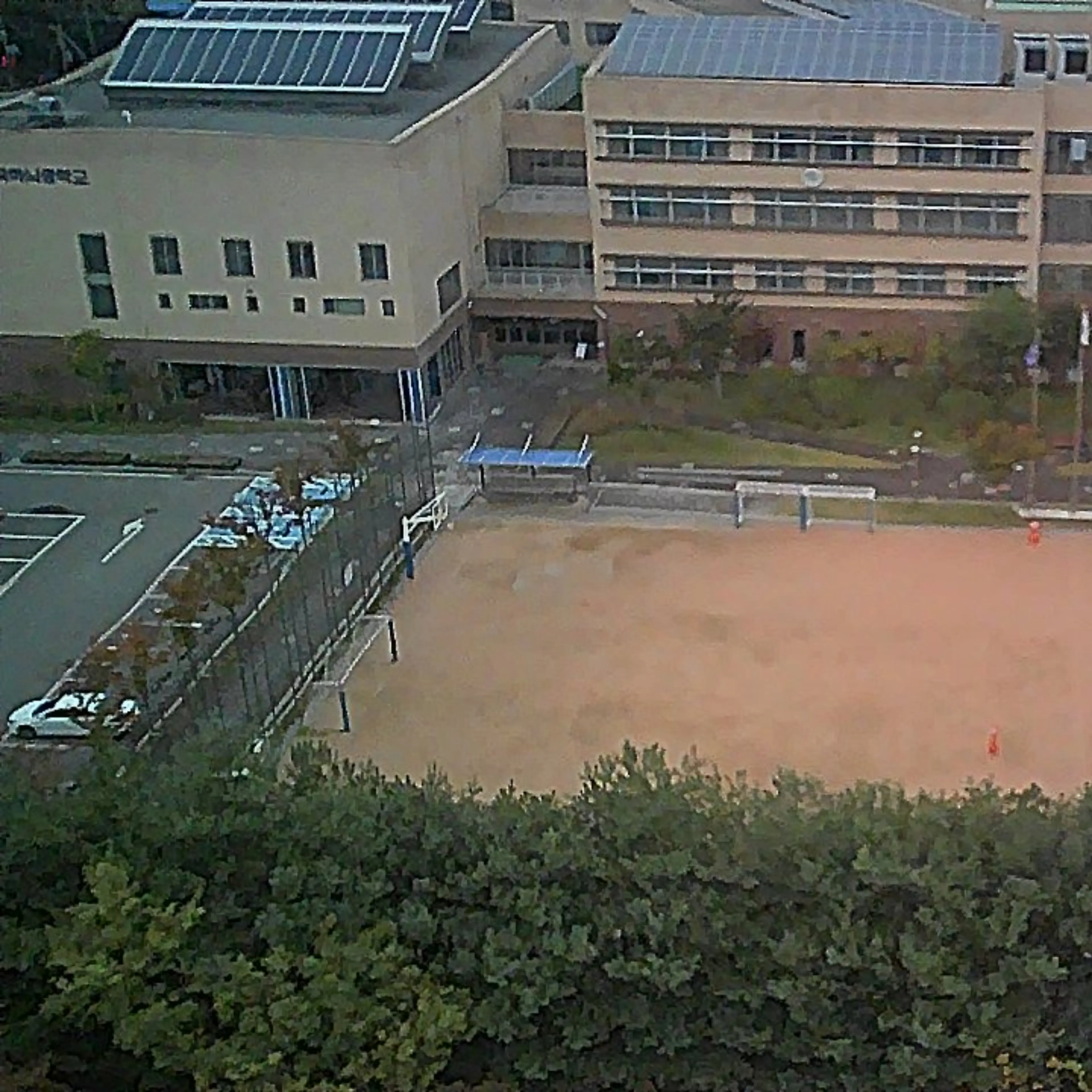 SassyNyala4791의 서울 강서구 공원