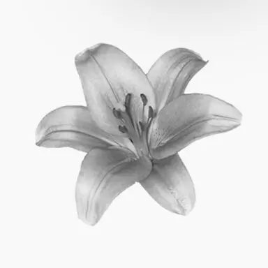 Profile image of 芝浦 淳