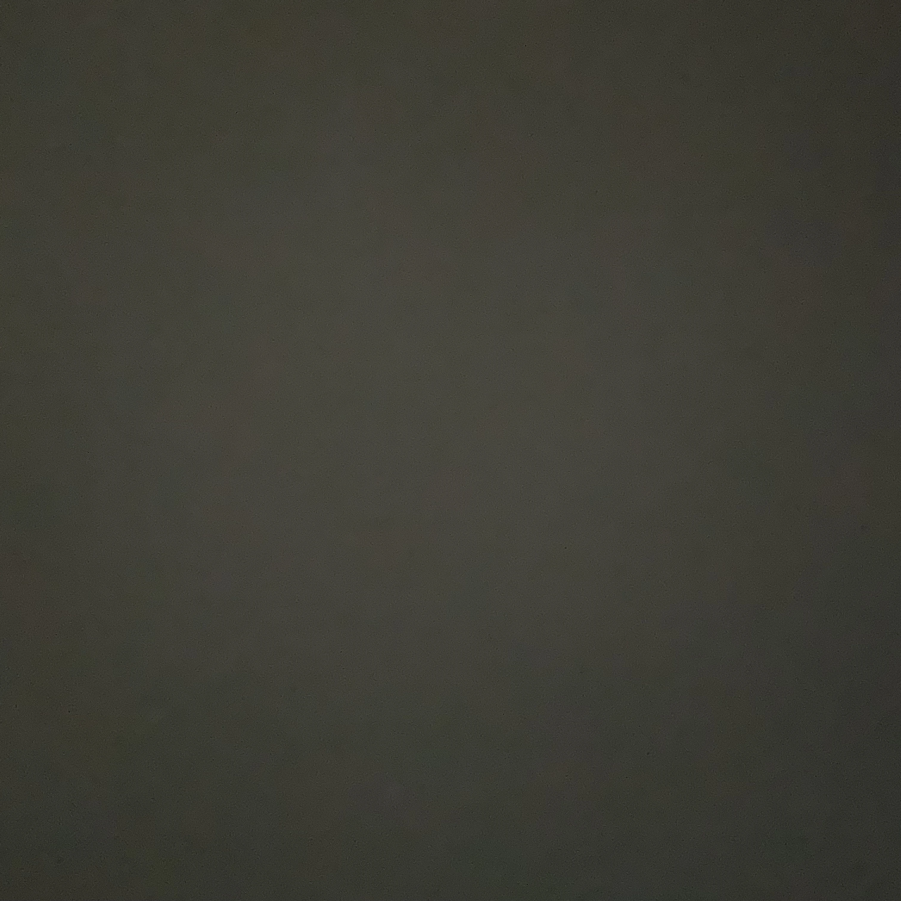 유성