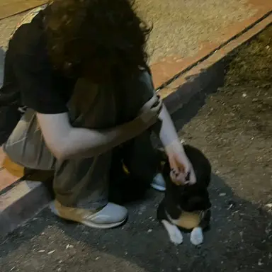 Profile image of Landen