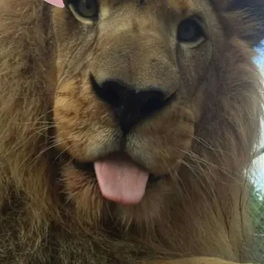 Profile image of Robert