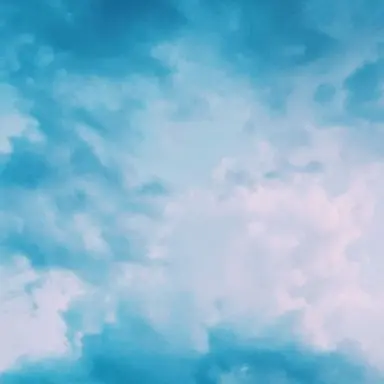 Profile image of 벨키