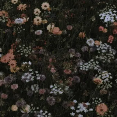 Profile image of 코마