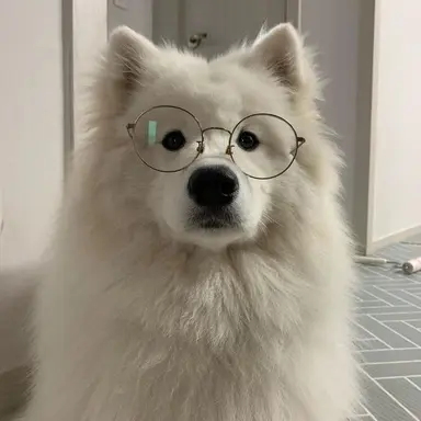 Profile image of ㅁㅈㅎ