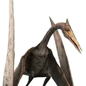 Profile image of 해남이크누스
