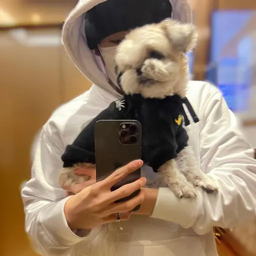 ooewwye의 이재현